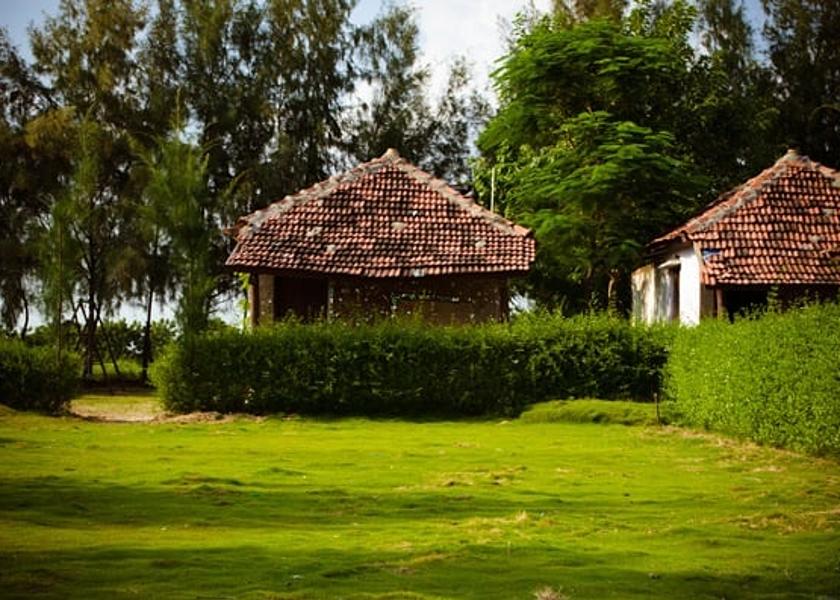 Gujarat Kutch garden view