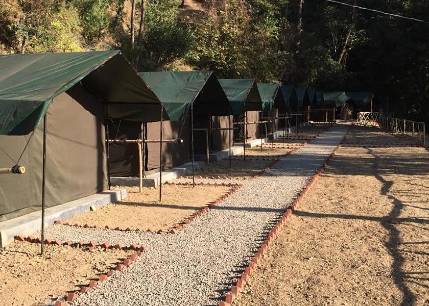 Himachal Pradesh Chail Swiss Tent