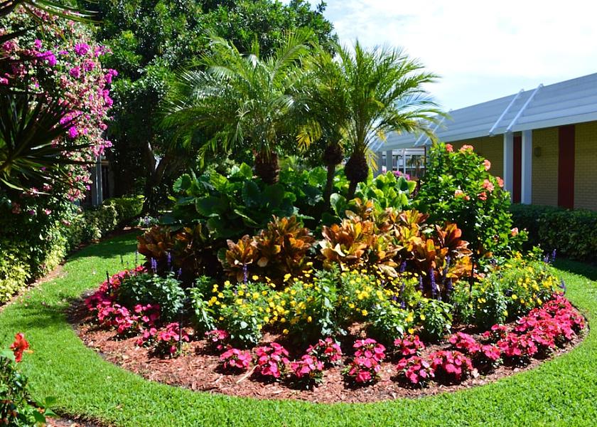Florida Naples Garden