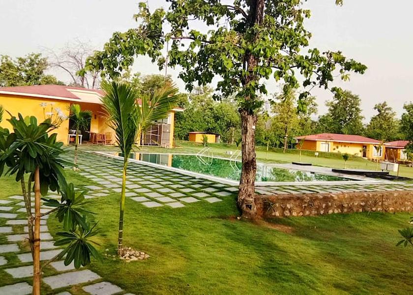 Chhattisgarh Bilaspur Swimming Pool