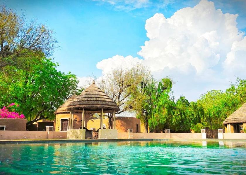 Rajasthan Mandawa Pool