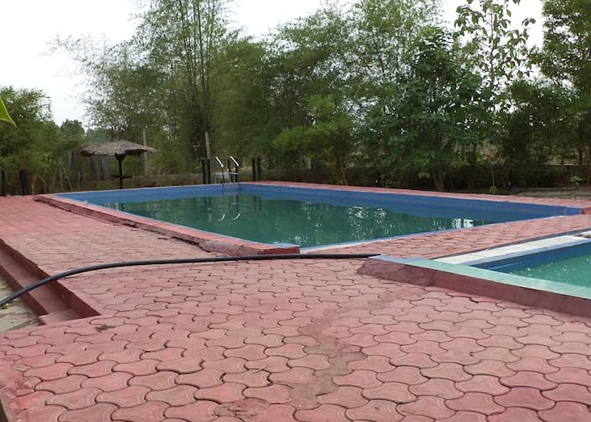 Madhya Pradesh Kanha pool side