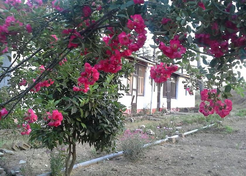 Uttarakhand Almora 