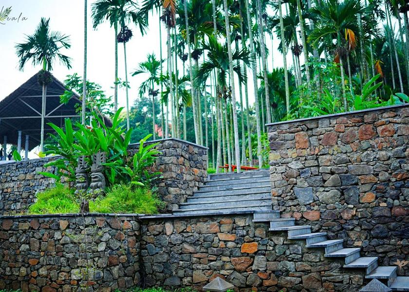 Kerala Palakkad Garden