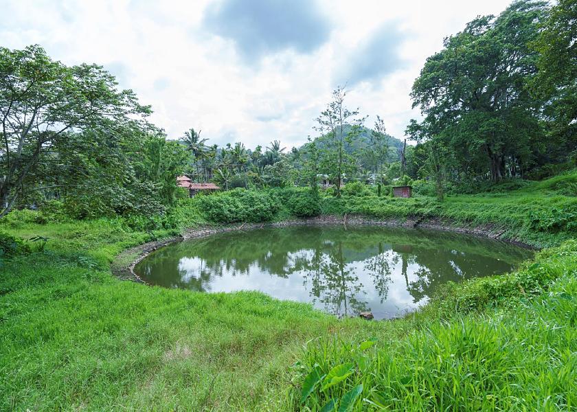 Kerala Periyar view