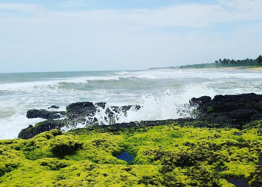 Kerala Varkala View from Property