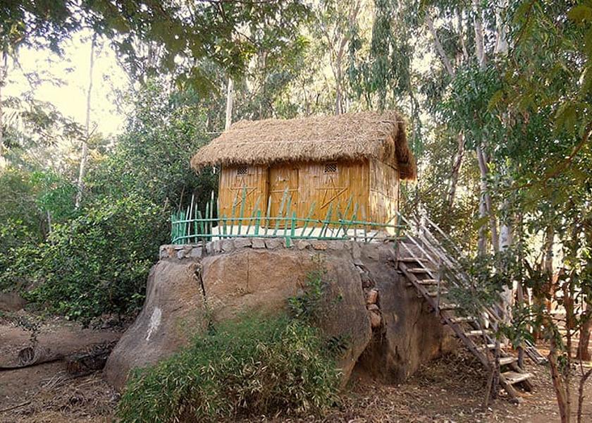Karnataka Hampi Bamboo Hut/Standard Room with Shared Bathroom	