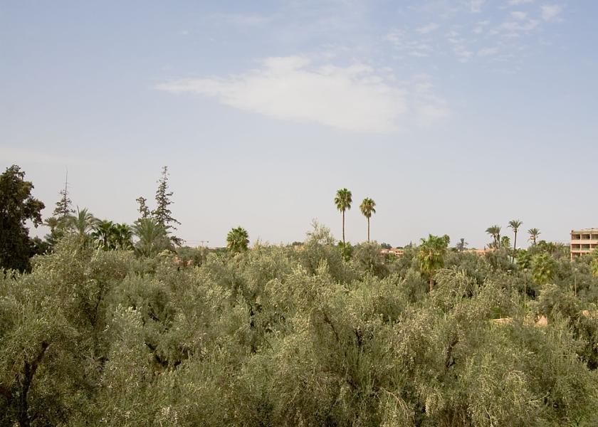  Marrakech View from Property