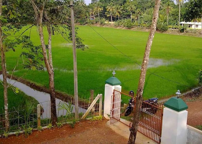 Kerala Kottayam View from Property