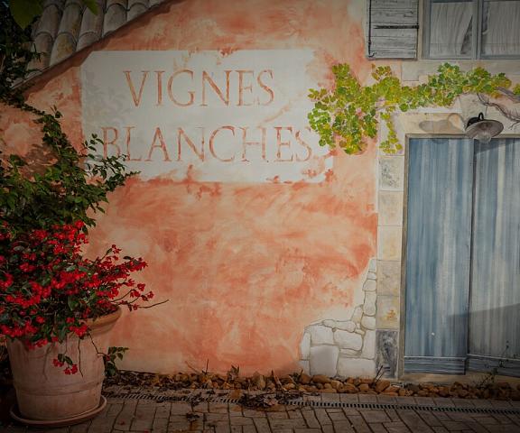 Les Vignes Blanches Occitanie Beaucaire Exterior Detail