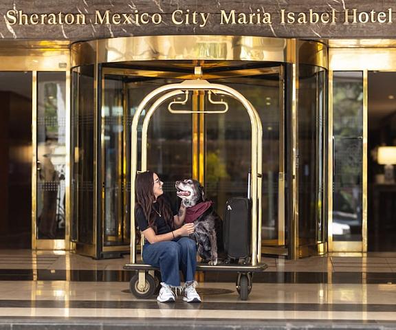 Sheraton Mexico City Maria Isabel Hotel null Mexico City Exterior Detail