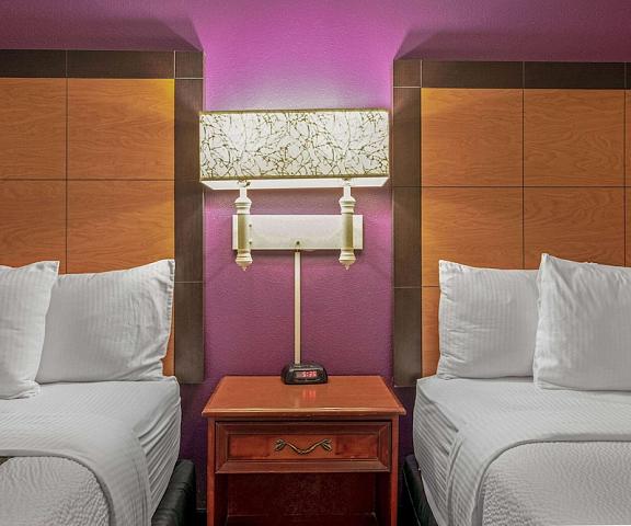 La Quinta Inn & Suites by Wyndham Naples East (I-75) Florida Naples Room