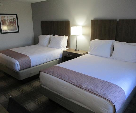 Best Western Plus Philadelphia-Choctaw Hotel and Suites Mississippi Philadelphia Room