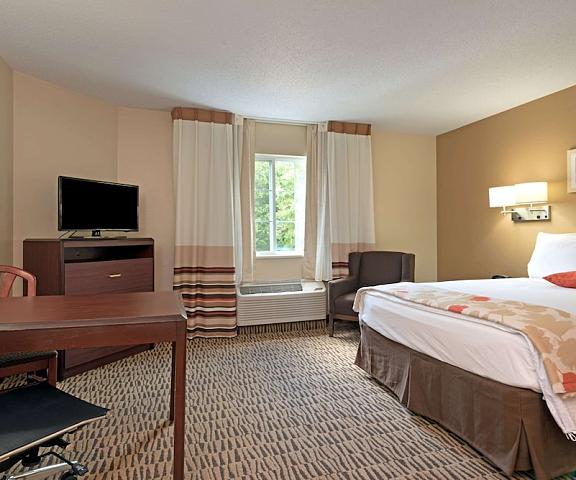 MainStay Suites Charlotte - Executive Park North Carolina Charlotte Room