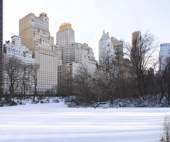 The Ritz-Carlton New York, Central Park New York New York Exterior Detail