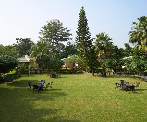 Acorn Hideaway Resort & Spa Uttaranchal Corbett Hotel View
