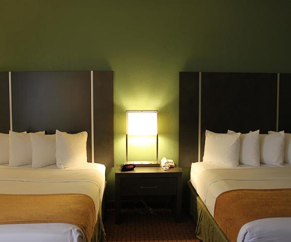 Best Western Plus North Houston Inn & Suites Texas Houston Room