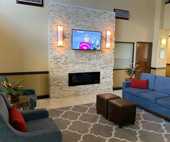 Comfort Suites Bush Intercontinental Airport Texas Houston Lobby