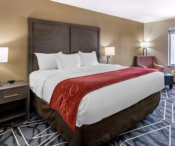 Comfort Inn & Suites Texas Lubbock Room