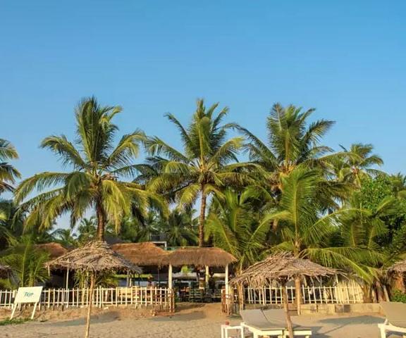 Larisa Resort Goa Goa Pool
