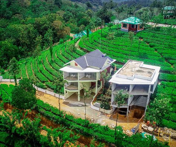 Green Hill Estate Kerala Vagamon Hotel View