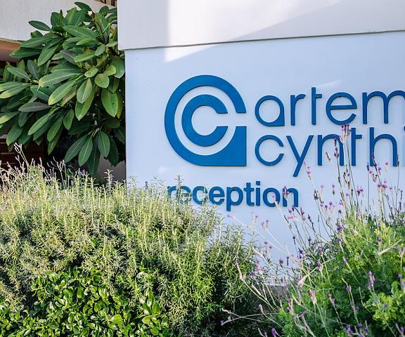 Artemis Cynthia Complex null Paphos Reception