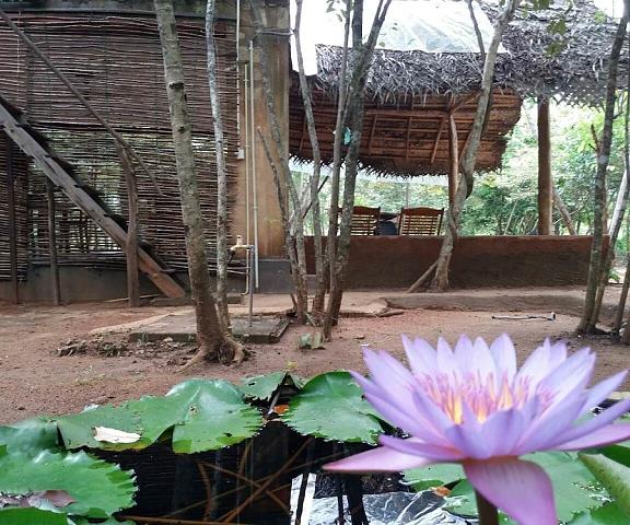 Sigiri Wilderness Resort Central Province Sigiriya Exterior Detail