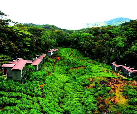 The Rainforest Ecolodge Matara District Deniyaya View from Property