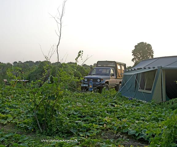 The Yala Camping Hambantota District Yala View from Property