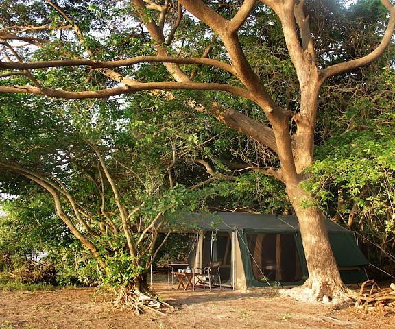 The Yala Camping Hambantota District Yala Exterior Detail