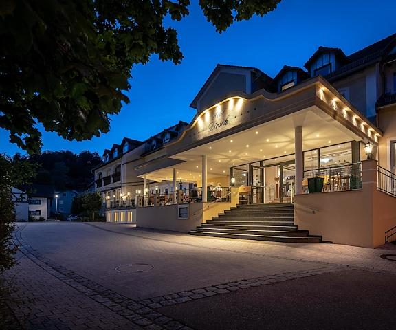 Hotel Dirsch Wellness & Spa Resort Bavaria Titting Exterior Detail