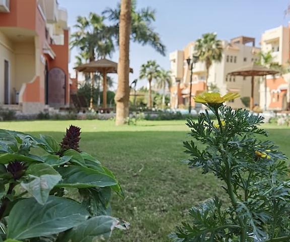 Green Garden Resort null Hurghada Garden
