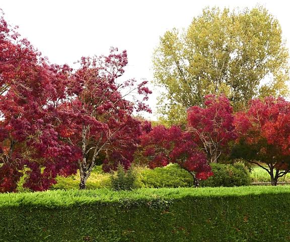 Le Provençal Nouvelle-Aquitaine Bordeaux Garden