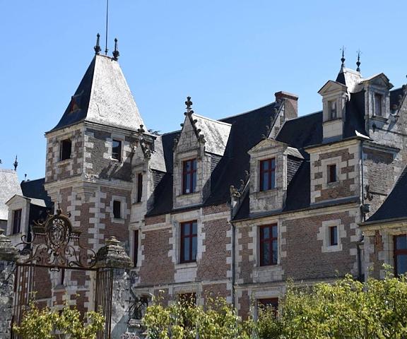 Chateau De Jallanges Centre - Loire Valley Vernou-sur-Brenne Exterior Detail