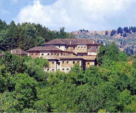 Katogi Averoff Hotel & Winery Epirus Metsovo Exterior Detail