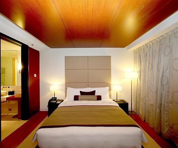 Oryx Airport Hotel null Doha Room