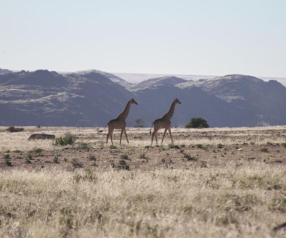 Sandfontein Lodge & Nature Reserve Karas Sandfontein View from Property