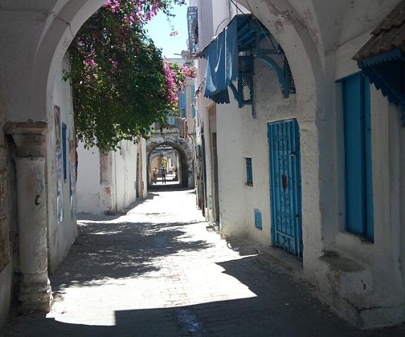 El Patio Courtyard House null Tunis Exterior Detail