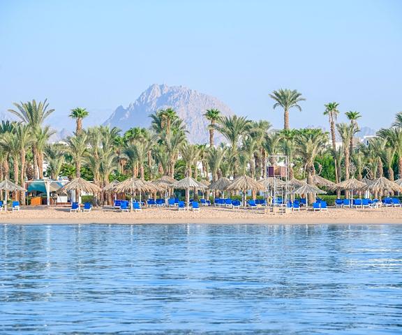 Jaz Fayrouz South Sinai Governate Sharm El Sheikh Beach