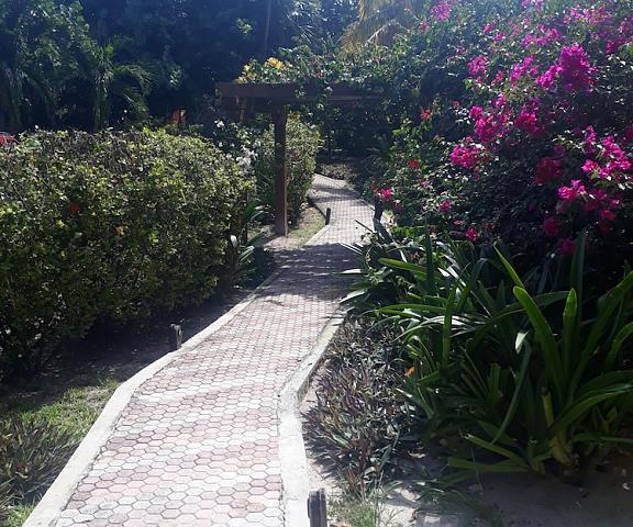 Margarita del Sol Costa Maya Quintana Roo Mahahual Entrance