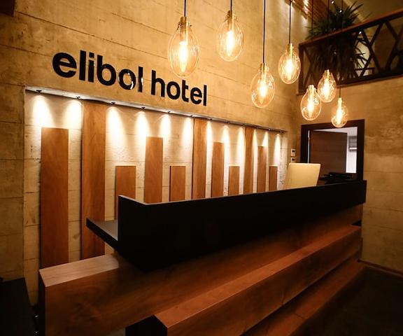 Elibol Hotel null Istanbul Reception