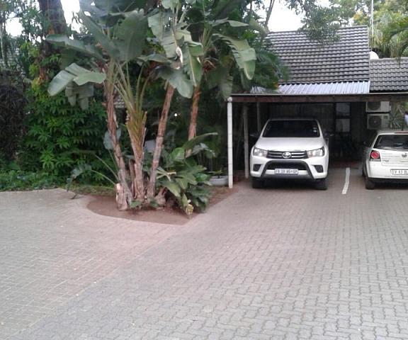 A Traveller's Palm Limpopo Phalaborwa Entrance