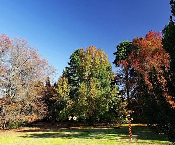 Sycamore Avenue Treehouses Kwazulu-Natal Mooirivier Property Grounds