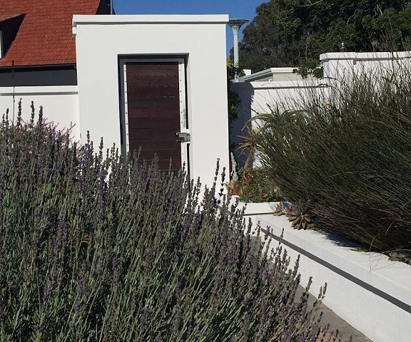 The Blue Lotus Guest House Eastern Cape Port Elizabeth Entrance