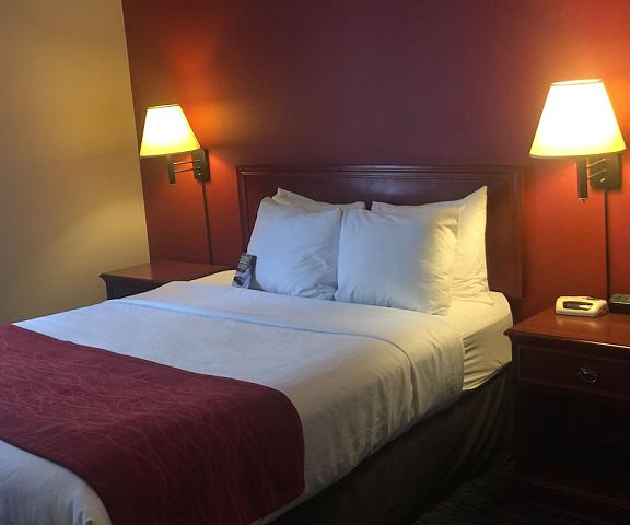 Comfort Inn & Suites University Alberta Calgary Room