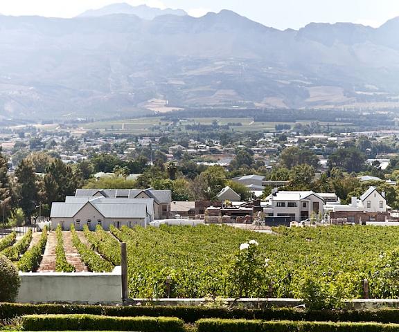 d'Olyfboom Guest Rooms Western Cape Paarl View from Property