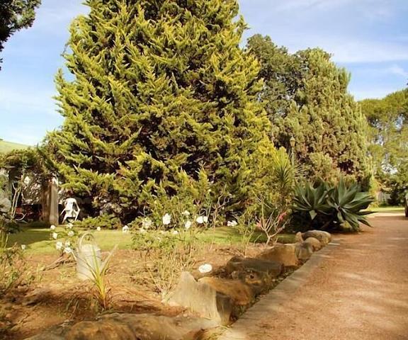 Fynbos Guesthouse Riversdale Western Cape Riversdale Property Grounds
