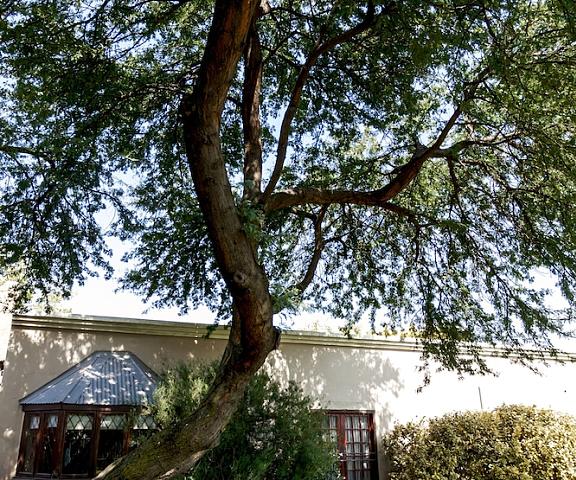 Town and Country Guest House Mpumalanga Middelburg Exterior Detail