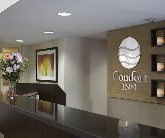 Comfort Inn Kenora Ontario Kenora Reception