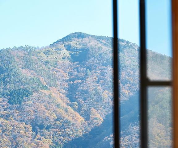 Gorakan Kanagawa (prefecture) Hakone View from Property